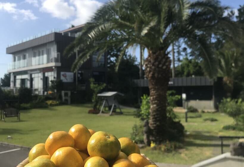 Номер Deluxe Вид на Море, The Bay Jeju Resort