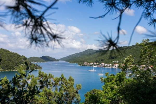 Апартаменты 1 Спальня Вид на Море, Guest House Busurelo