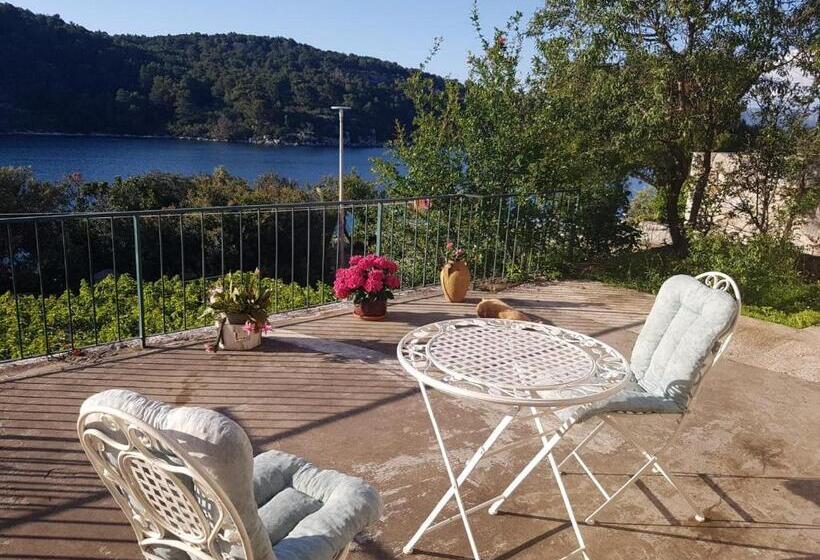 Апартаменты 1 Спальня Вид на Море, Guest House Busurelo