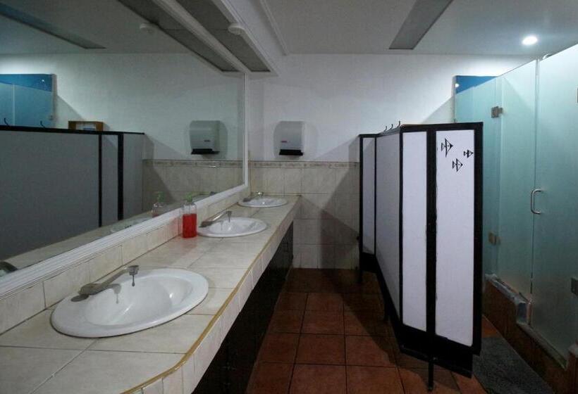 اتاق استاندارد چهارنفره با سرویس بهداشتی مشترک, Hostel Hospedarte Centro