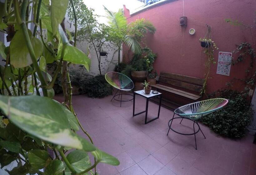 اتاق سوپریور, Hostel Hospedarte Centro