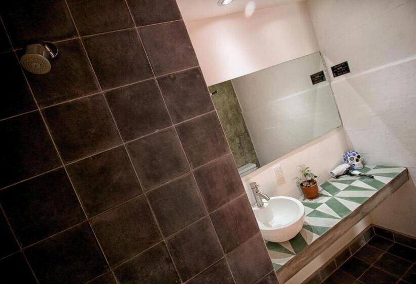 اتاق استاندارد با سرویس بهداشتی مشترک, Hostel Hospedarte Centro