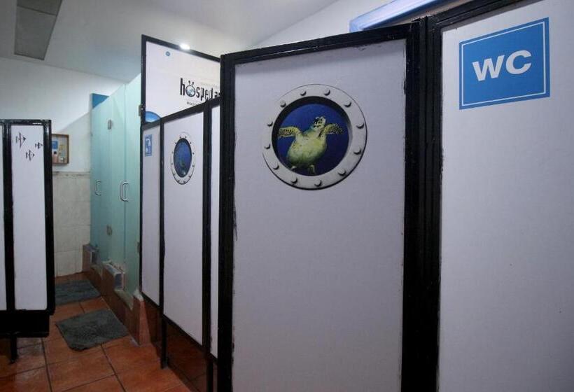 اتاق استاندارد چهارنفره با سرویس بهداشتی مشترک, Hostel Hospedarte Centro