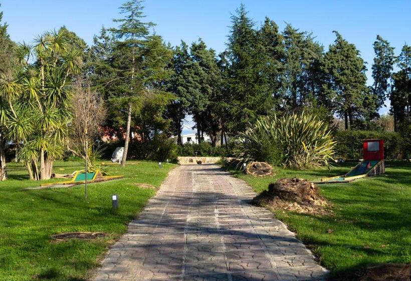 Номер Стандарт Индивидуальный, Agriturismo Costantino