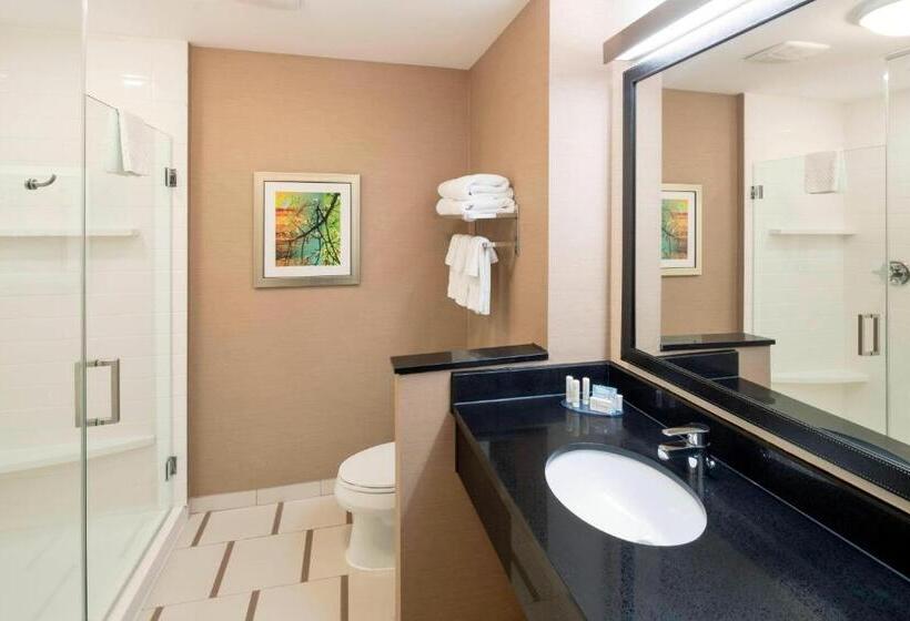 سوئیت با تخت بزرگ, Fairfield Inn & Suites By Marriott Houston Pasadena