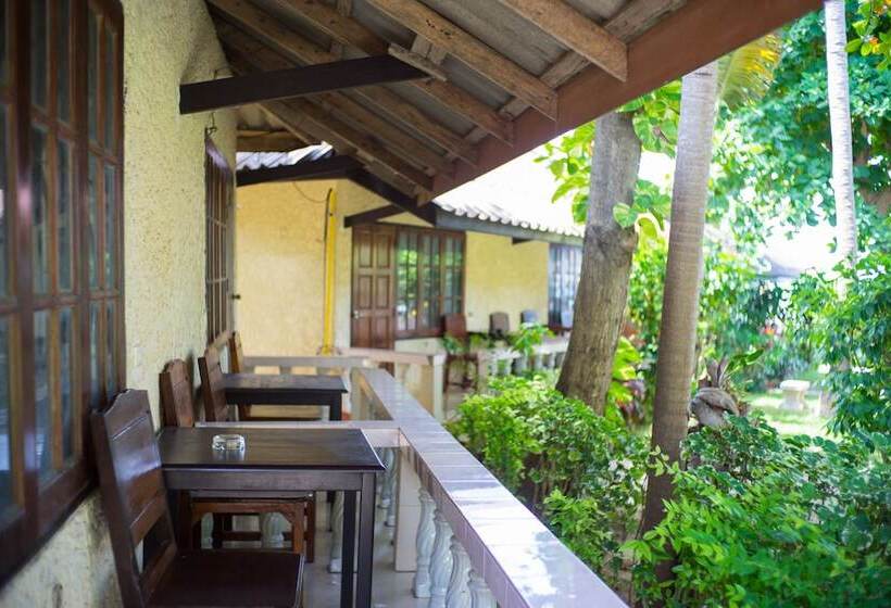 Номер Стандарт, Silver Beach Resort