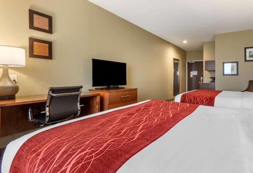Номер Стандарт 2 Двуспальные Кровати, Comfort Inn & Suites Near Mt. Rushmore