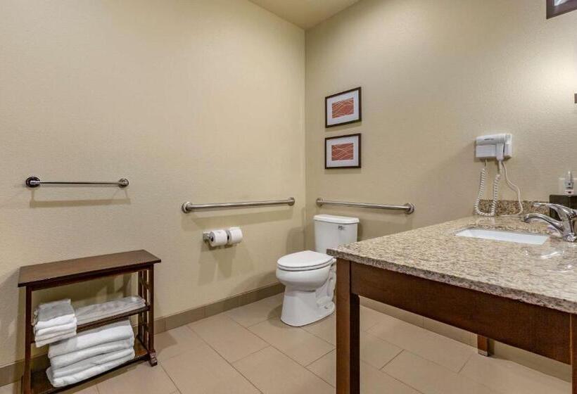 Номер Стандарт Кровать Кинг Адаптированный для Инвалидов, Comfort Inn & Suites Near Mt. Rushmore