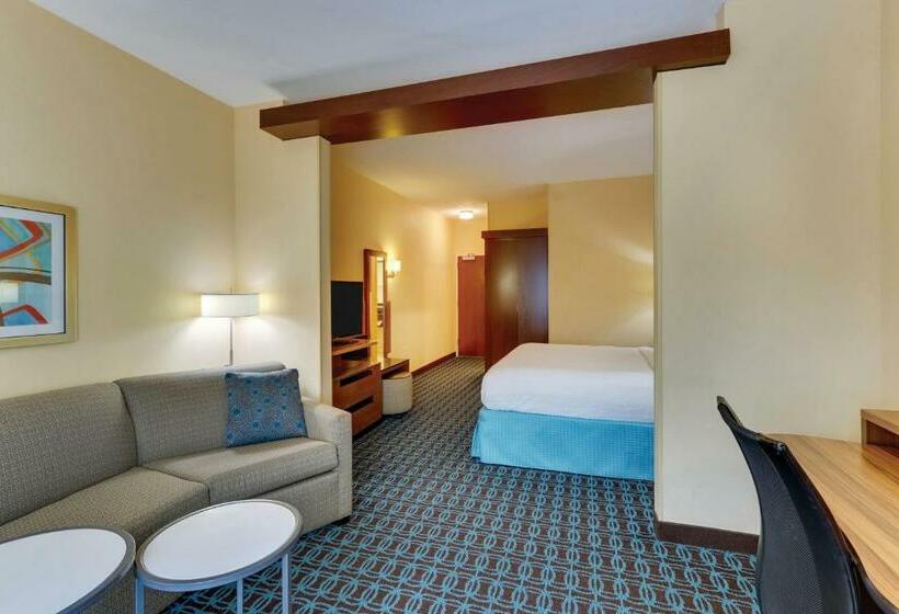스위트 킹사이즈 침대, Fairfield Inn & Suites By Marriott Dunn I 95