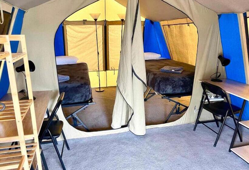 Standard Tent, Mycow Accommodation Mackay