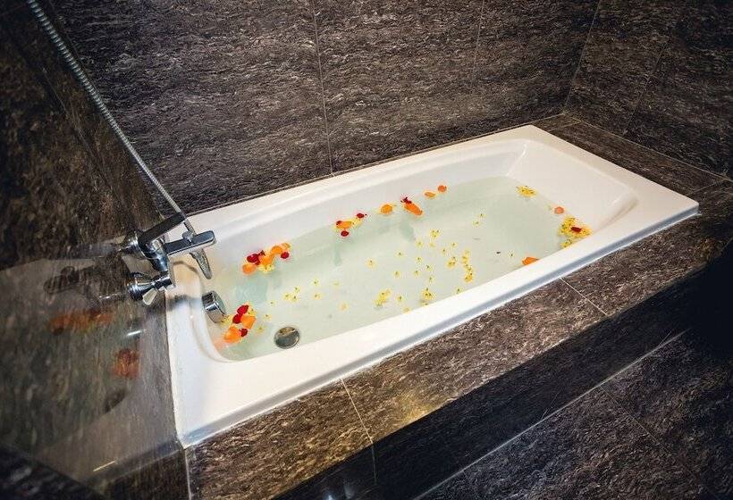 行政房间, Elegant Hotel Pyi Thar Yar
