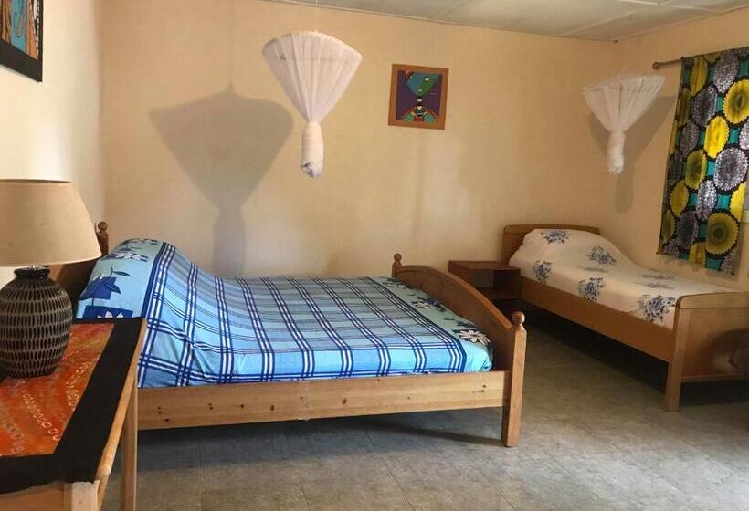 اتاق استاندارد با چشم‌انداز استخر, The Gunjur Project Lodge