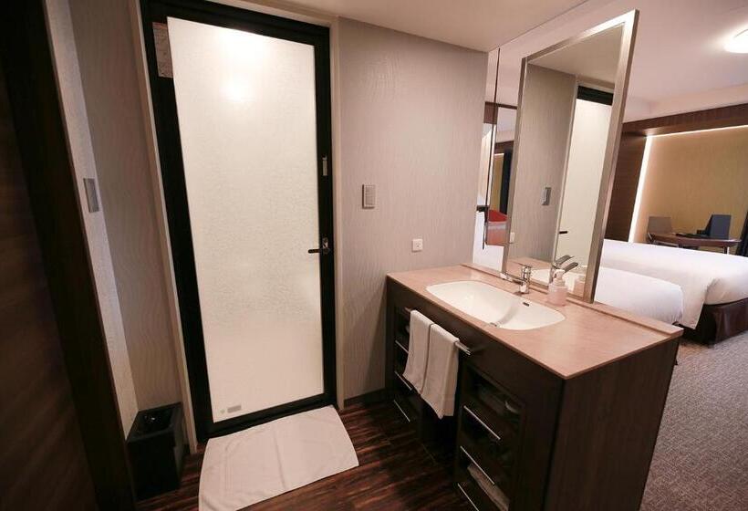 Номер Superior, Richmond Hotel Premier Tokyo Schole