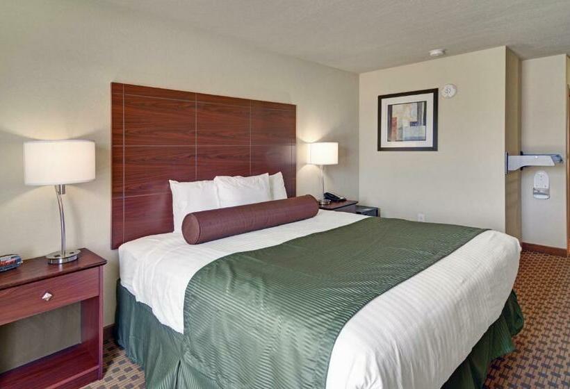 适合残疾人士使用的带超级大床的标准间, Cobblestone Inn & Suites   Big Lake