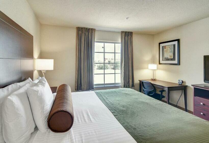 带大床的标准间, Cobblestone Inn & Suites   Big Lake