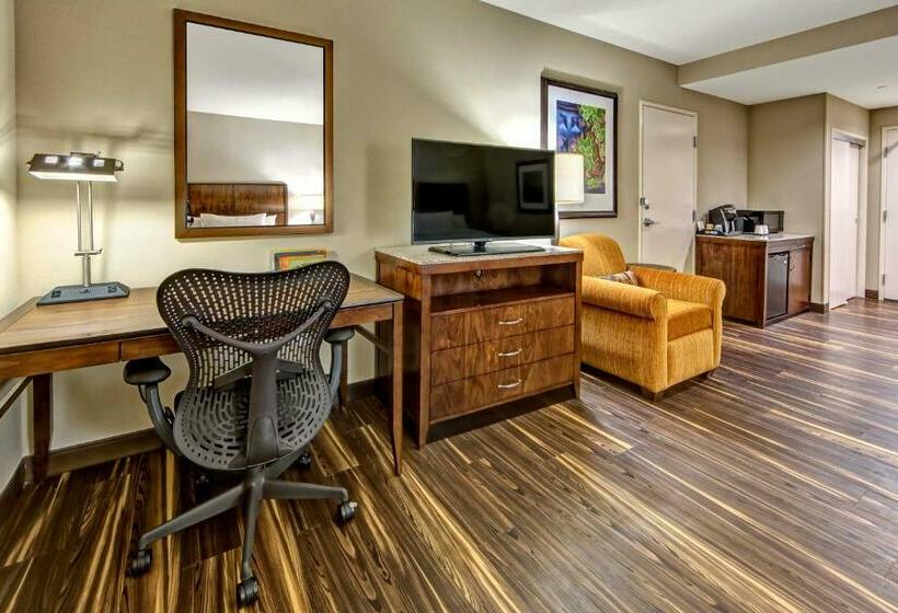 Номер Стандарт Кровать Кинг Адаптированный для Инвалидов, Hilton Garden Inn Nashville Brentwood