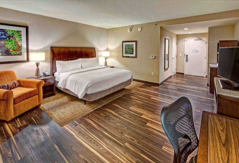 Номер Стандарт Кровать Кинг Адаптированный для Инвалидов, Hilton Garden Inn Nashville Brentwood