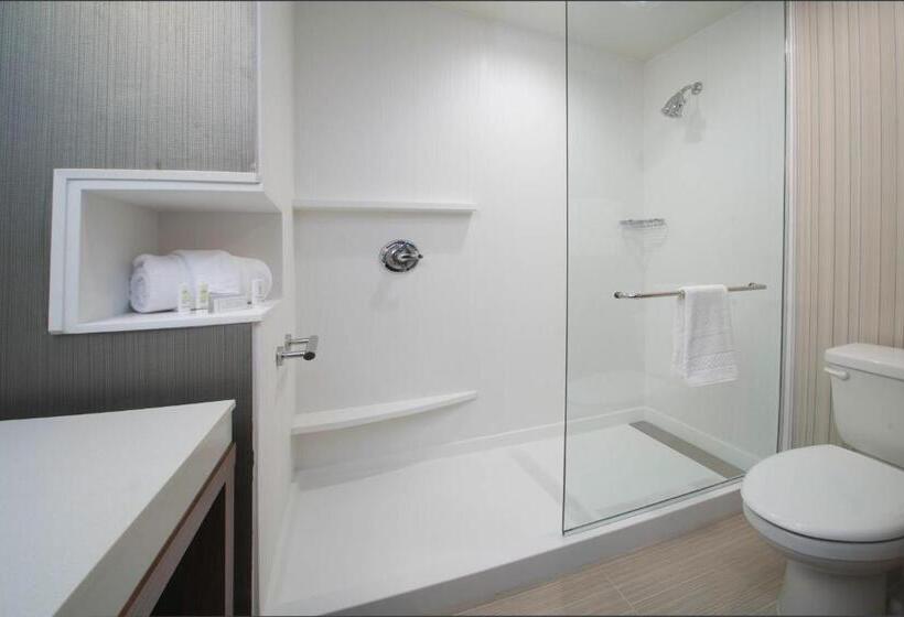 스탠다드 룸 킹사이즈 침대, Courtyard Largo Medical Center Drive