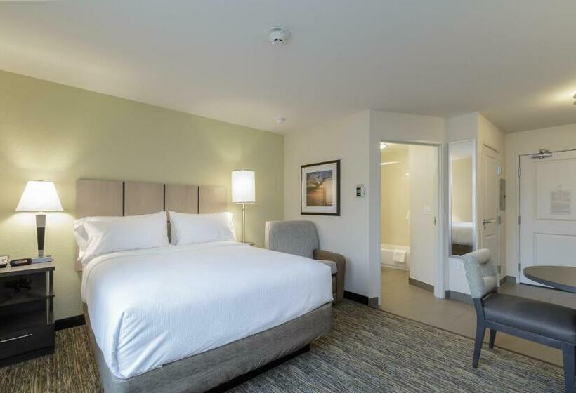 Студия Стандарт, Candlewood Suites Mishawaka, An Ihg