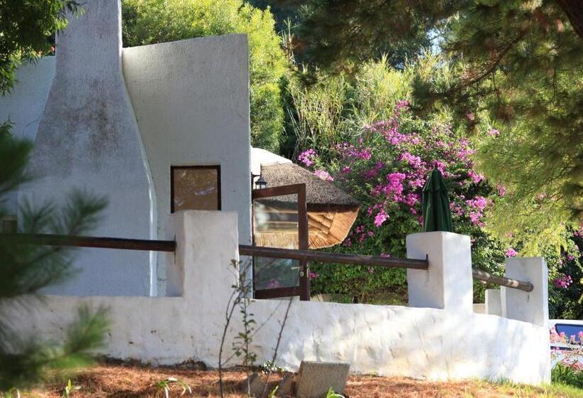 اتاق استاندارد, De Molen Guest House