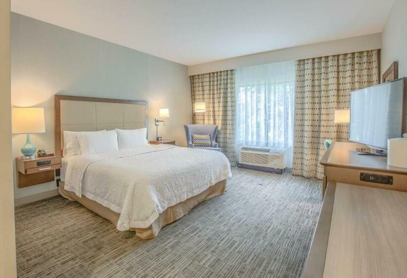 장애인을 위한 킹사이즈 침대 스탠다드 룸, Hampton Inn Gulf Shores