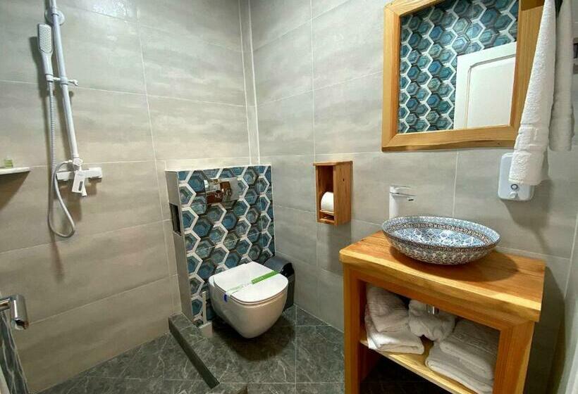 اتاق استاندارد با تراس, Paradisul Verde