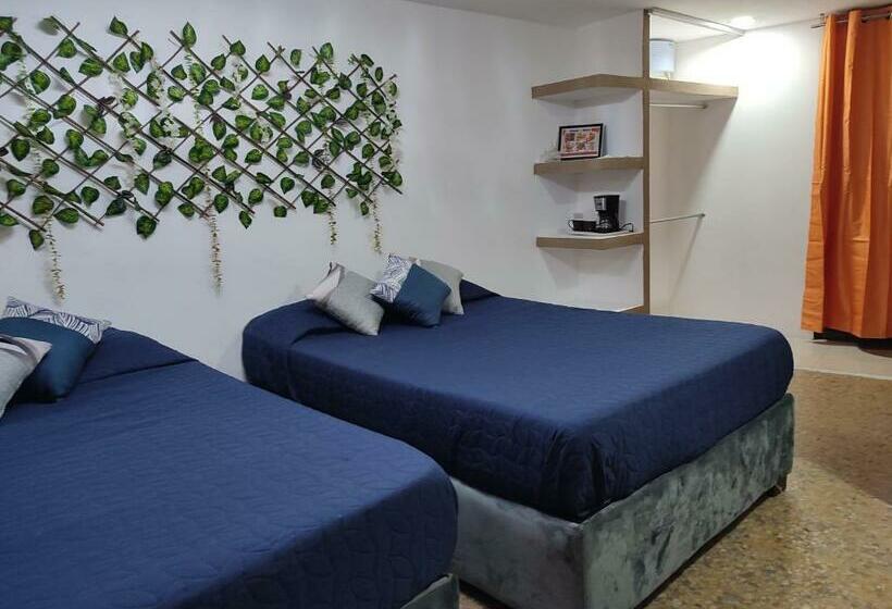 سوییت جونیور لوکس, Hostal Vitta
