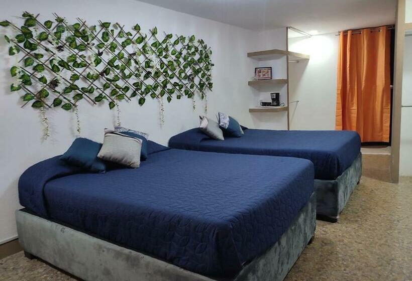 سوییت جونیور لوکس, Hostal Vitta