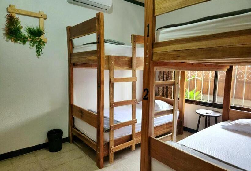 اتاق چهار تخته با دستشویی مشترک, Hostel El Pretal