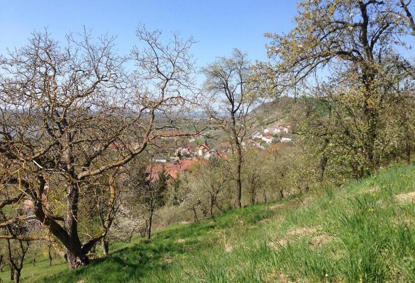 Номер Стандарт с Балконом, Alte Rose Gasthaus