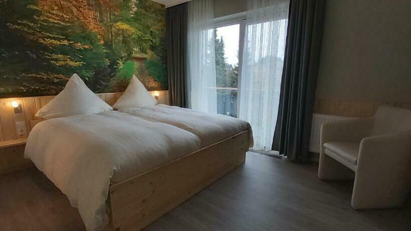 Номер Стандарт с Балконом, Pension Haus Petra