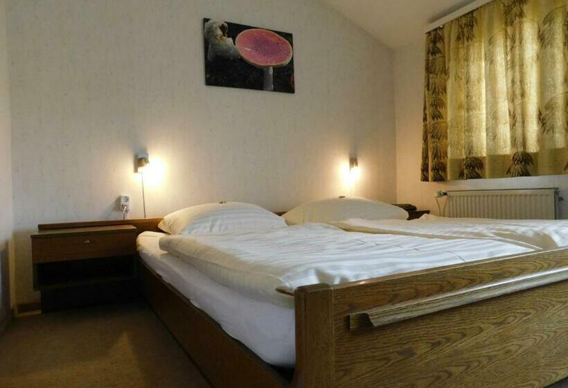 Номер Стандарт, Pension Haus Petra