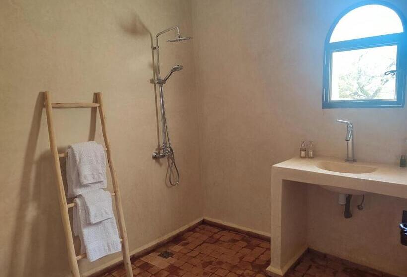 Номер Стандарт, Riad Bini Ddik