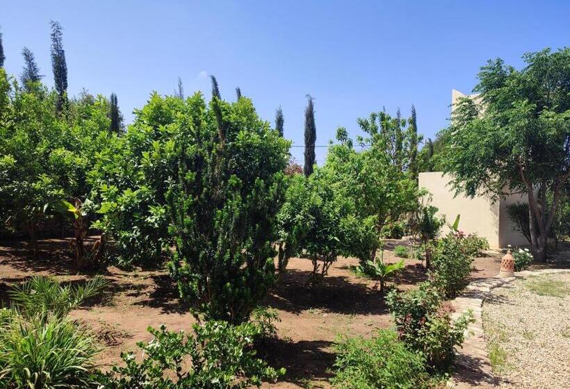 Номер Стандарт, Riad Bini Ddik