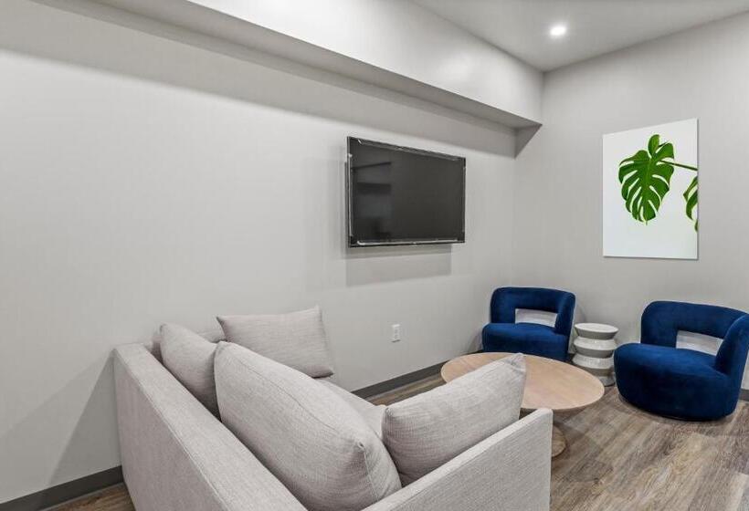 سوئیت با تخت بزرگ, Seaport Suites