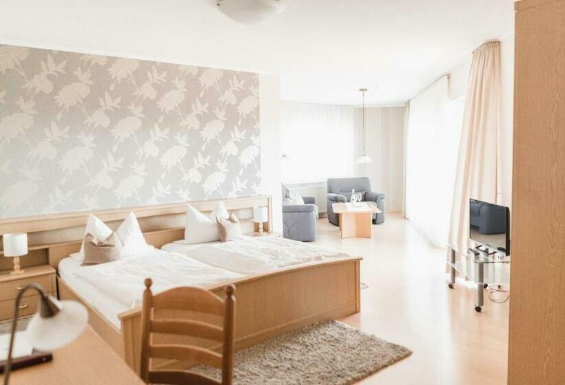 Номер Комфорт, Bio Hotel Melter