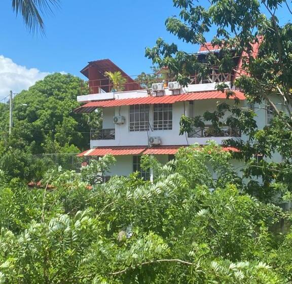 اتاق لوکس, Tinyhouse Samaná