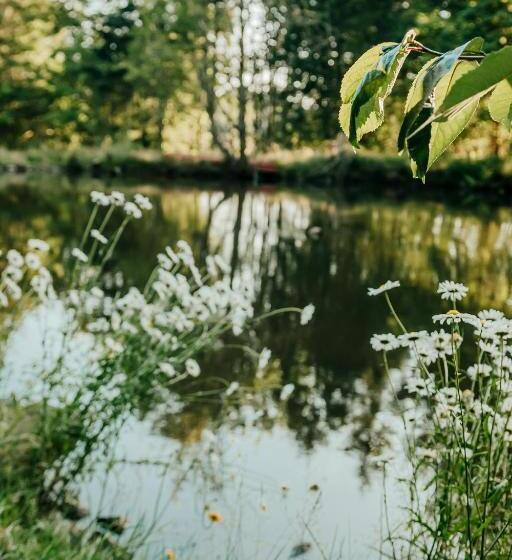 Номер Basic, Healing Ponds Farm
