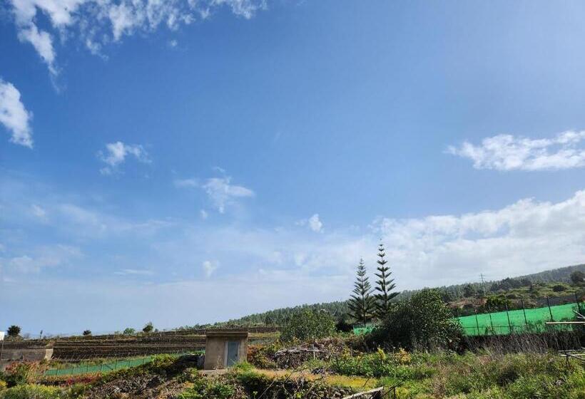 غرفة ديلوكس, Casa Salvia Bed & Breakfast   Icod   Tenerife