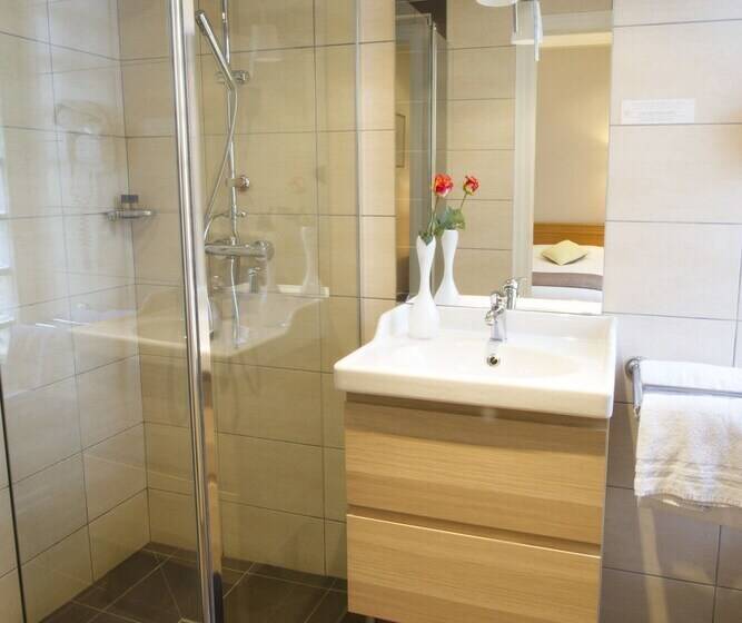 Номер Superior, Brit Hotel Roanne   Le Grand Hôtel