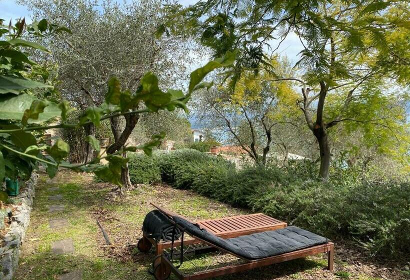 آپارتمان 1 خوابه با چشم‌انداز دریا, Miramare Apartments&suites