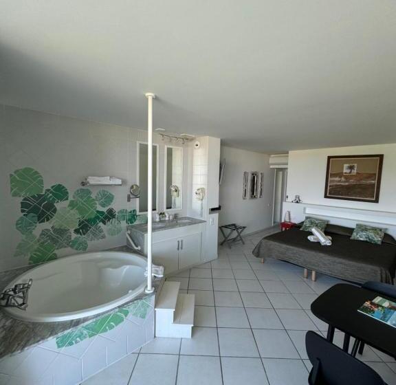 ガーデンビュースタンダードルーム, Le Domaine Anse Marcel Beach Resort