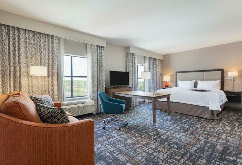 Студио Стандарт Кровать Кинг, Hampton Inn & Suites West Des Moines/sw Mall Area