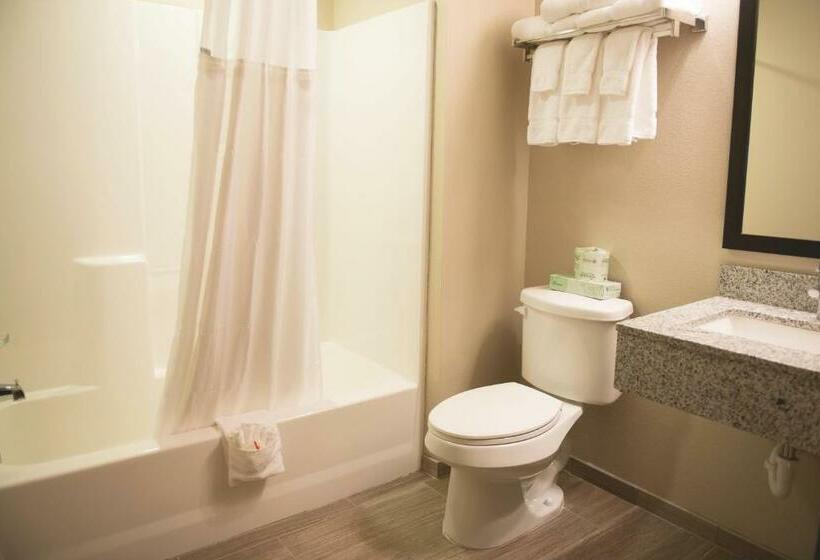 חדר סטנדרט עם מיטת קינג, Quality Inn & Suites