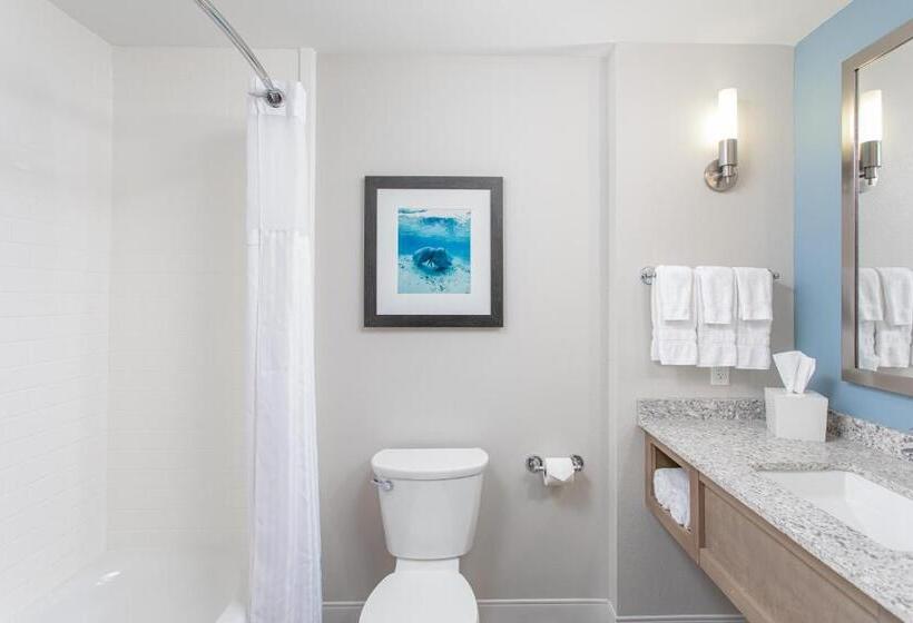 Номер Стандарт, Best Western Premier   The Tides