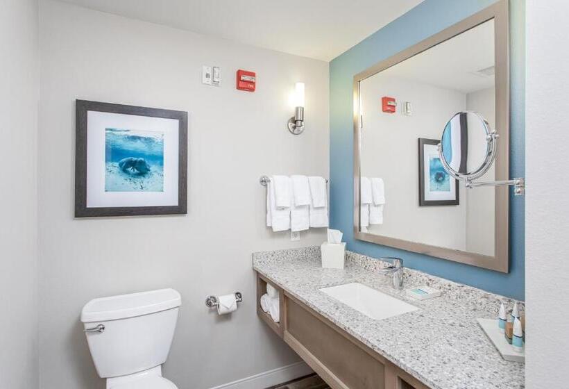 Номер Стандарт с Балконом, Best Western Premier   The Tides
