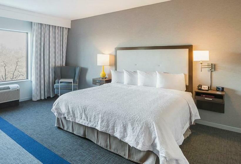 Стандартный Номер Кровать Кинг, Hampton Inn & Suites Dallas/richardson