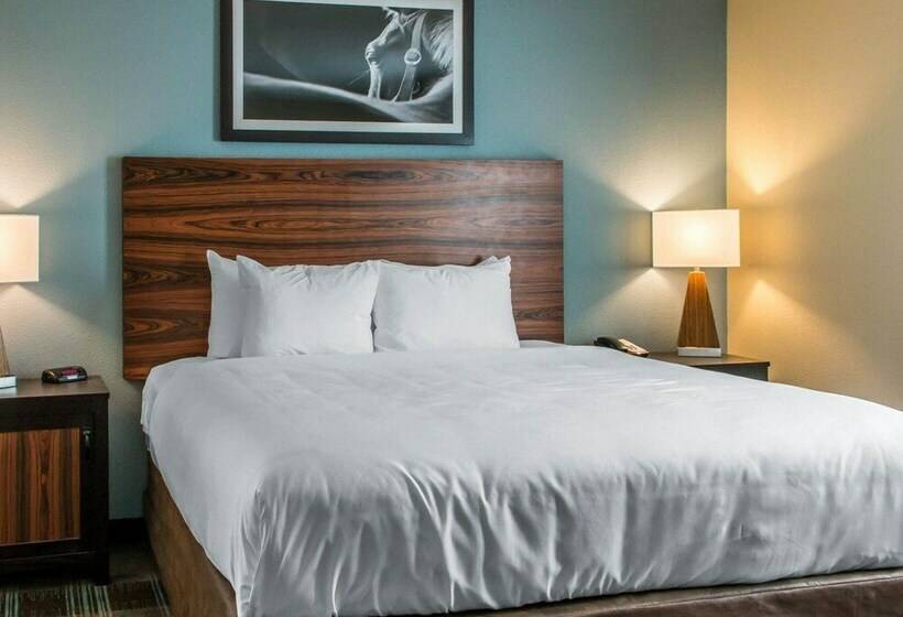 Люкс, Mainstay Suites Cotulla