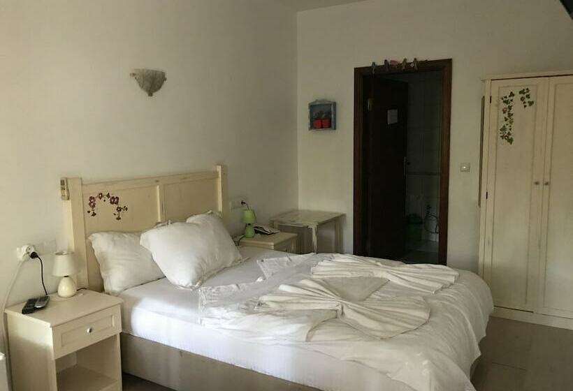 Quarto Estandar, Kano