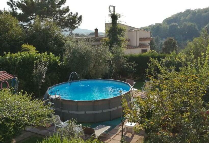 سوئیت راحتی, Green Paradise Affittacamere